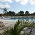Pool & Spa area